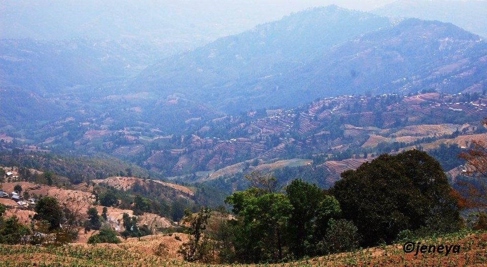 7746_10151576227973476_1425063345_n (2)