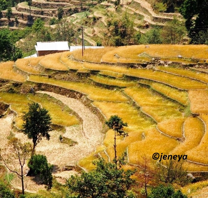 943080_10151576334838476_625459451_n (2)