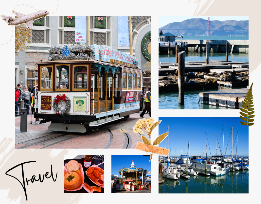 Best Things to do in San Francisco and the Bay Area